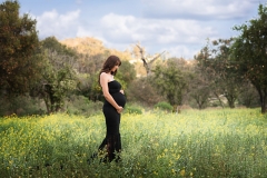 Orange_County_Maternity_Photographer-4-c80