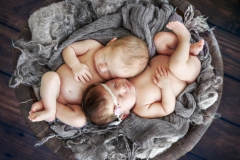 Newborn_Photography-1